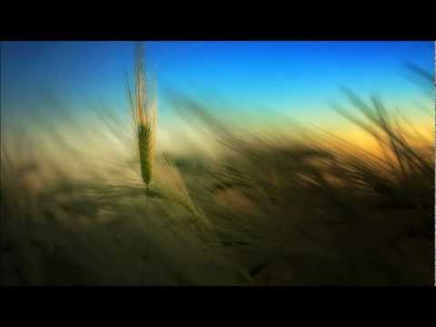 Gofman & Tsukerman - We Control U (Original Mix)