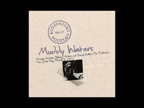 Muddy Waters, Johnny Winter, James Cotton,Black Cat Bone/Dust my broom,live 77