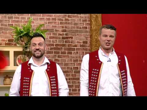 Zavicajno Jato -  Ja sam puko BN Music Etno 2017