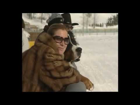 lofmrelease - blitz 30 01 05