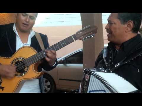 Amor Amor - Mario Rodríguez y Jesús Rodríguez (Látigo Norteño)