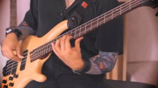If This Bass Could Only Talk (Stanley Clarke cover) by Wisnu