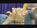 Barney S 5 Senses Song