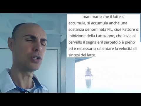 La codificazione da dipendenza alcolica in Rybinsk Se la supposizione smetterà di bere