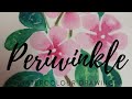 How To Draw Periwinkle Flowers