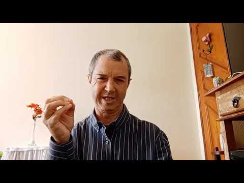 A Revolução dos Teclados Arranjadores!