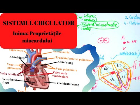 MEDICINE ADMISSION: CIRCULATORY SYSTEM 5: The Heart Part I - Properties of the Myocardium