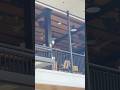 Minka Aire Light Wave Or Different Brand Ceiling Fans At A Restaurant