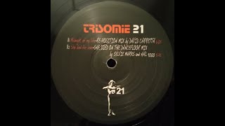 Trisomie 21 – Midnight Of My Life (Re-Position Mix By David Carretta)