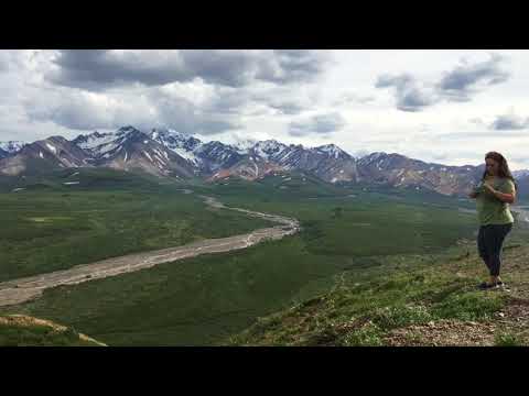 Melita’s Denali National Park Tour| Alina And Melita