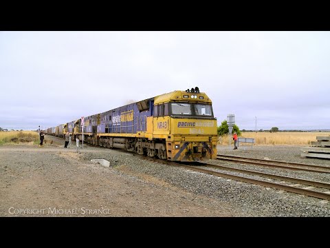 4PM4 Pacific National Steel & Container Freight Train Passes Railfans (29/1/2023) - PoathTV