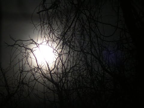 Video thumbnail for In the Human World