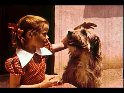 Wonder Showzen - When I Grow Up...