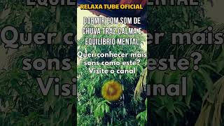 🌧CHUVA TRAZ CALMA E EQUILÍBRIO🌻