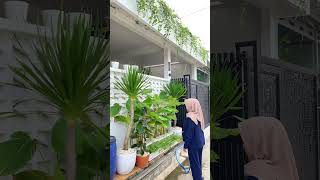 Download lagu Taman rumah subsidi bergaya minimalis mp3