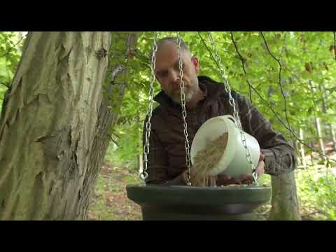 EUROHUNT Futterautomat Evolution | Kurzversion