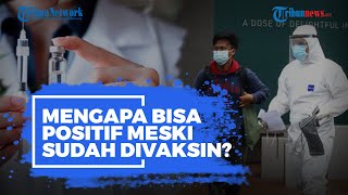 Mengapa Seseorang Masih Bisa Positif Covid-19 Meski Sudah Divaksin? Ini Alasannya