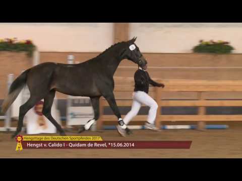 KN 48 v. Calido I - Quidam de Revel