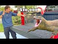 I Bought 20 000 Lizards For My Zoo