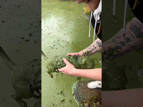 Puppy Jumped in the Mud 😂🐕 #shorts