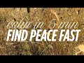 Release Stress Find Peace In 5 Minutes Guided Meditation For Deep Relaxation Nature ASMR