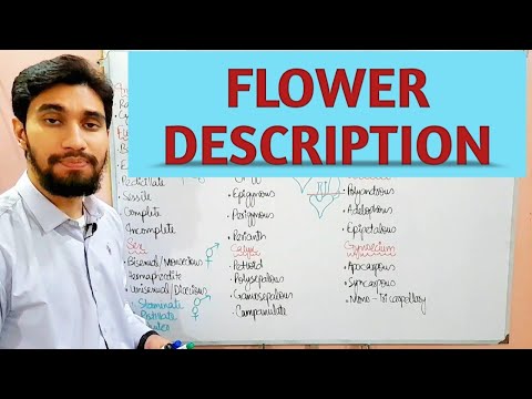 DESCRIPTION OF FLOWER || TECHNICAL TERMINOLOGY OF FLOWER || Zeerak's Biology