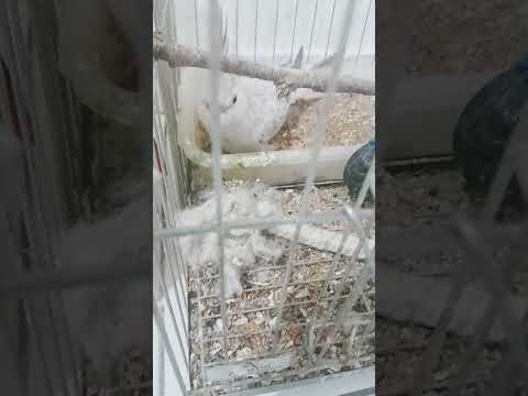 7 de fevereiro de 2024