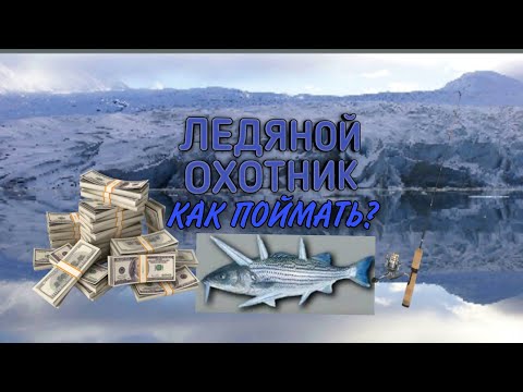 Как поймать гигантского Ледяного Охотника в My fishing world