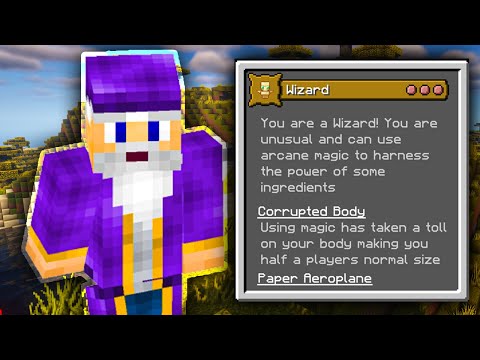 Krzair - Minecraft Origins Mod: Wizard (Custom Origin)