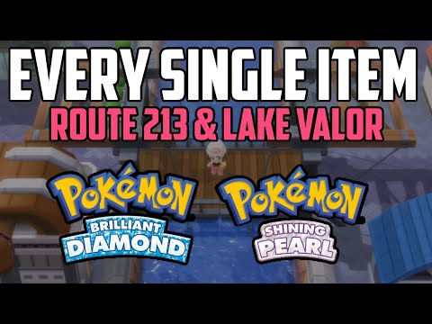 EVERY Item in Route 213 & Lake Valor - Pokémon Brilliant Diamond & Shining Pearl