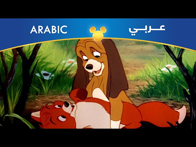 فلم الثعلب والكلب Blu-ray مدبلج بالعربي مصري