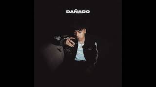 Cover art for La Curiosidad