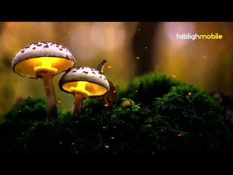 Sholawat Nabi Muhammad SAW - Merdu tanpa musik