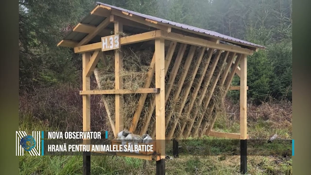 HRANĂ PENTRU ANIMALELE SĂLBATICE