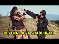 Wu Tang Collection Revenge Of A Shaolin Kid