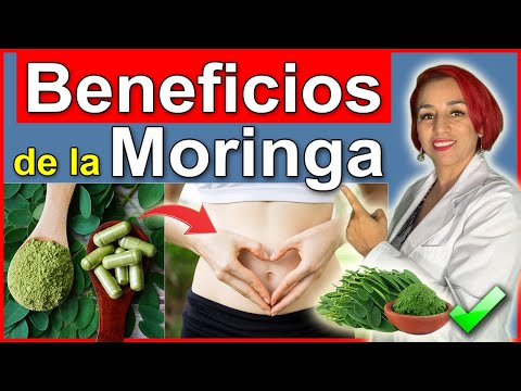 What is Moringa for? 🍃 Benefits of Moringa for your health that you should know! 😲
