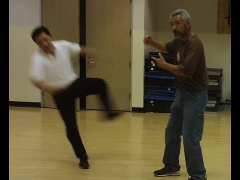 Push Hands: How Much Yang and Yin in Tai Ji?