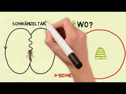 download lagu mp3 mp4 Tanz Der Bienen, download lagu Tanz Der Bienen gratis, unduh video klip Tanz Der Bienen