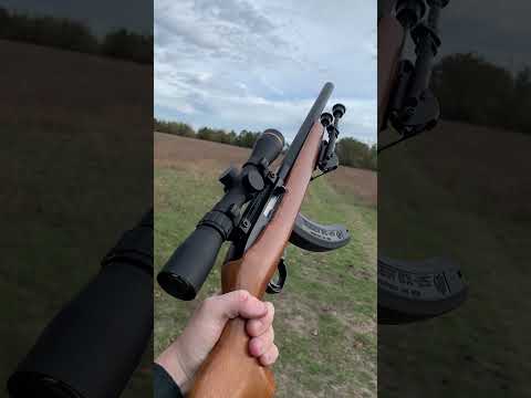 Why You Need a Suppressed .22