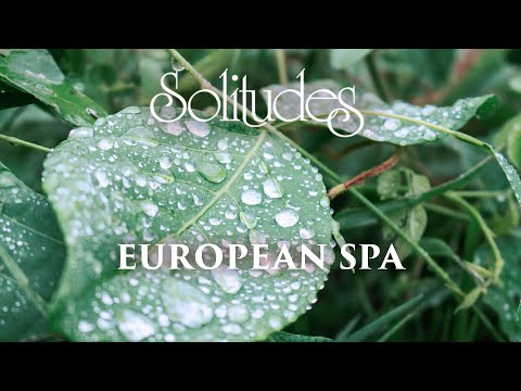 Dan Gibson’s Solitudes - Resonance | European Spa