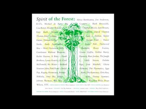 Spirit of the Forest cover