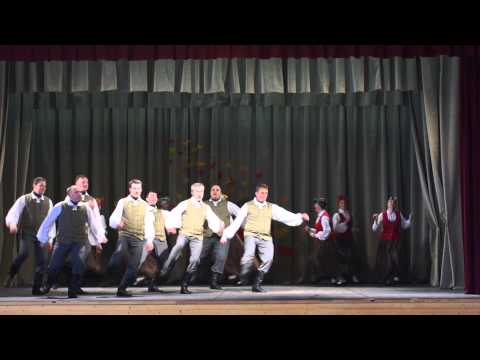 Dzirnavniece Zemgalē