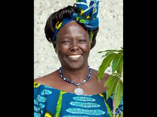 Vídeo relacionado con Wangari Maathai (2024): La mujer que plantó millones de árboles (INFANTIL)