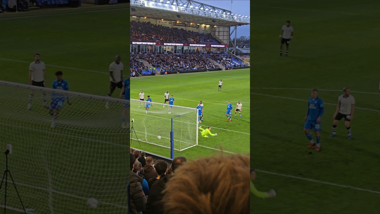 The Art of Baking: From Classic Bread to Artisan Pastries