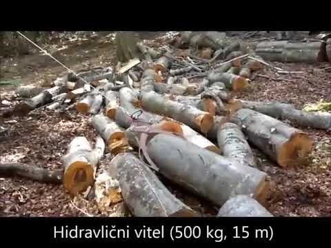 Robust R 25 Z-Profiholzspalter