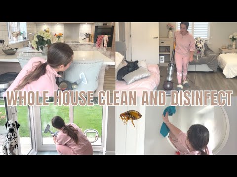 I FOUND FLEAS IN MY HOUSE! 🦟 | CLEAN AND DISINFECT MY WHOLE HOUSE WITH ME | Cleaning Motivation