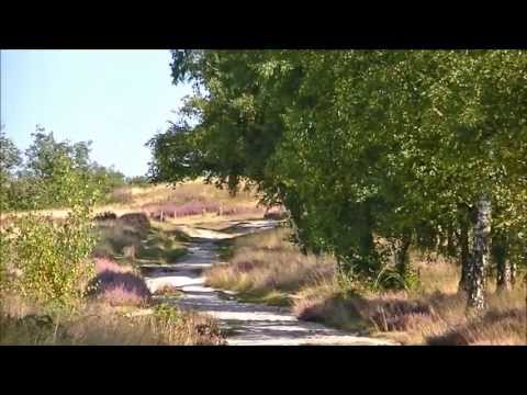 Wandeling op Landgoed de Hamert