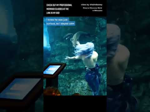 My most viral video 🥰 #mermaid #aquarium