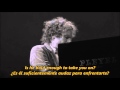Damien Rice | Accidental Babies [Subtitulada al español]