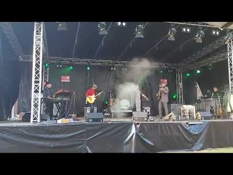 Wildman Bluesband at Brabantsedag in Heeze - Married Life Blues